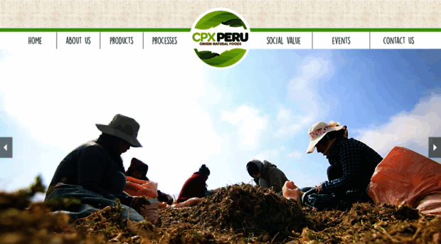 cpxperu.com.pe