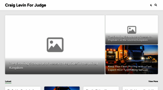 craiglevinforjudge.com