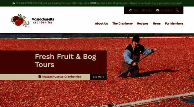 cranberries.org