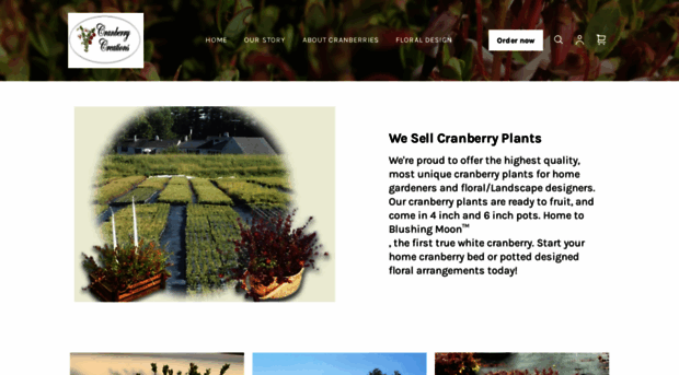 cranberrycreations.com