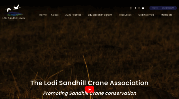 cranefestival.com