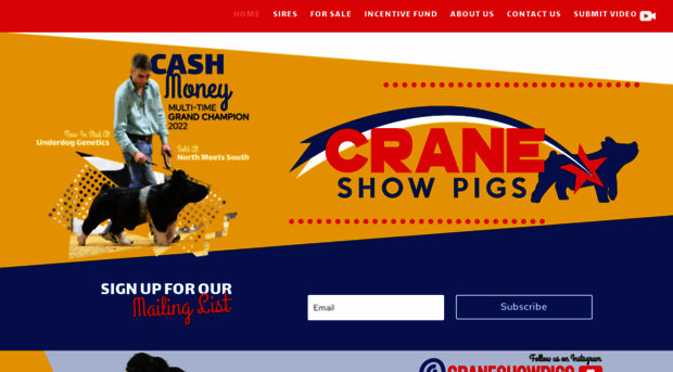 craneshowpigs.com