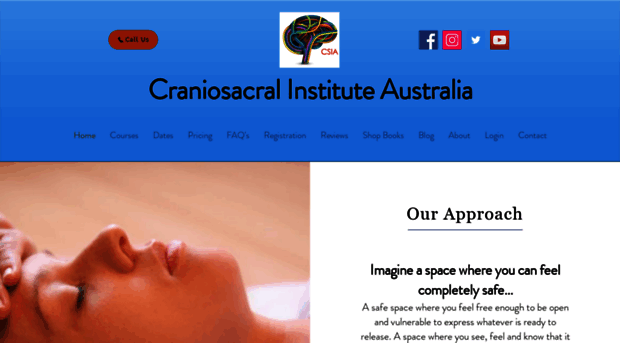 craniosacralschool.com