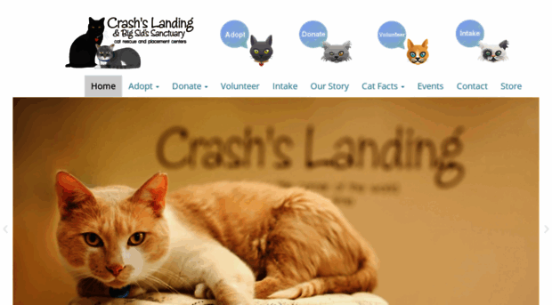 crashslanding.org