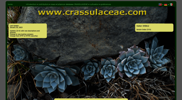 crassulaceae.com