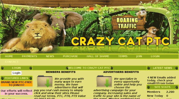 crazy-cat-ptc.info