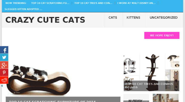 crazycutecats.com