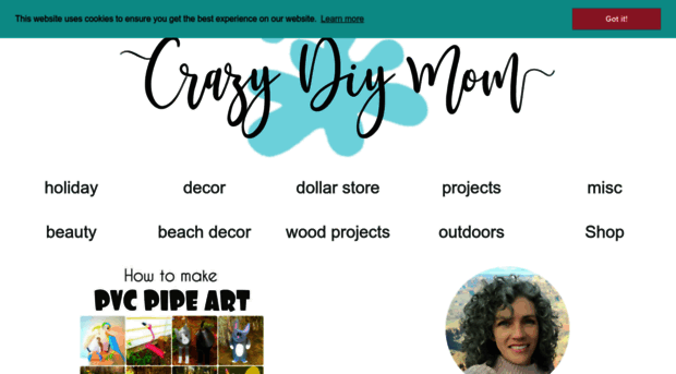 crazydiymom.com