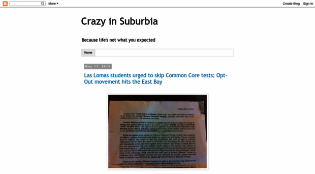 crazyinsuburbia.blogspot.com