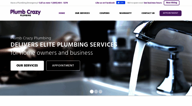 crazyplumbers.com