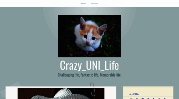 crazyunilife.wordpress.com