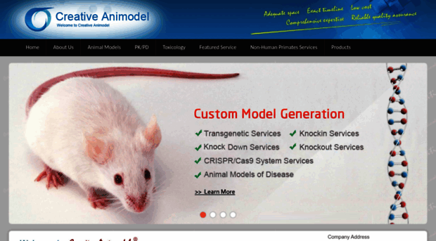 creative-animodel.com