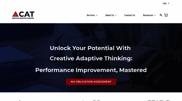 creativeadaptivethinking.com