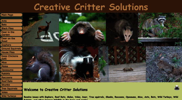 creativecrittersolutions.org