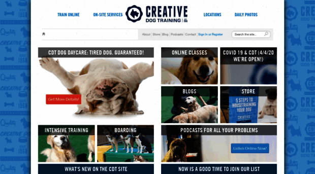 creativedogtraining.com