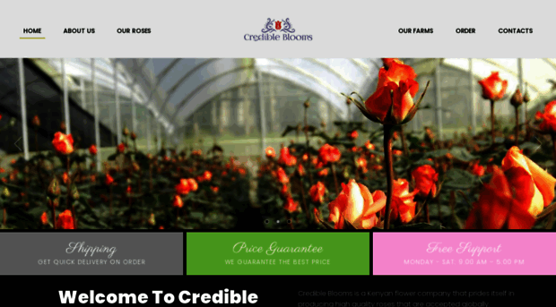 credibleblooms.co.ke