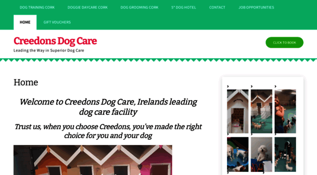 creedonsdogcare.ie