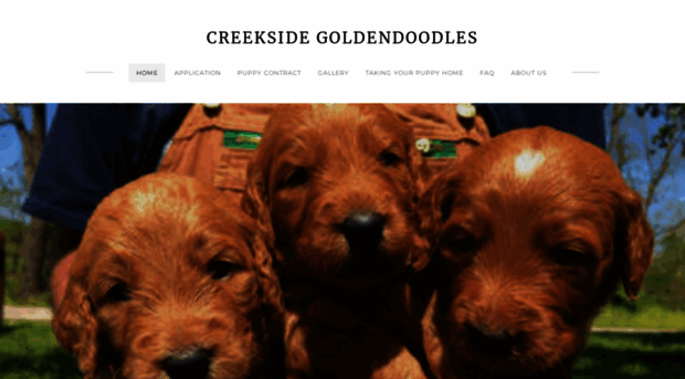 creeksidegoldendoodles.com