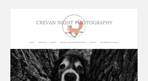 crevannight.weebly.com