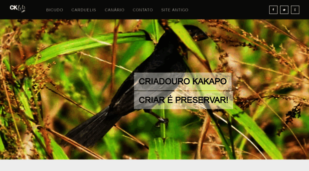 criadourokakapo.com