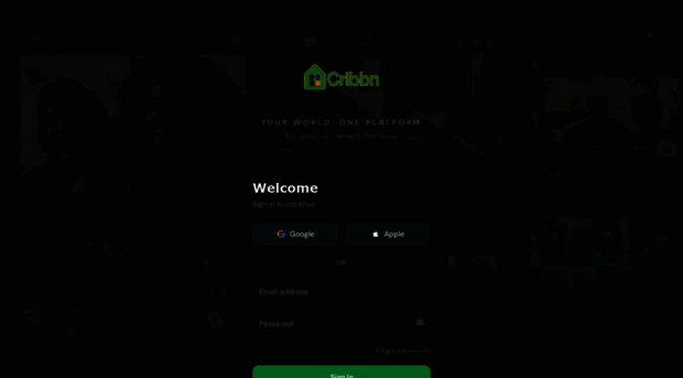 cribbn.com
