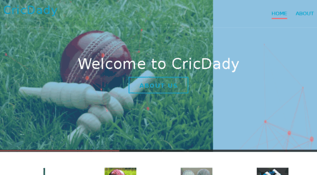 cricdady.com