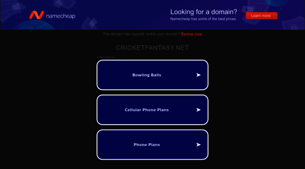 cricketfantasy.net