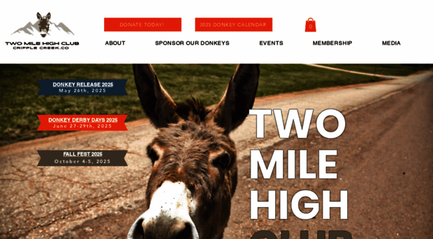 cripplecreekdonkeys.com