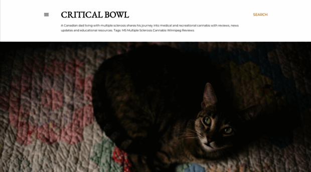 criticalbowl.blogspot.com
