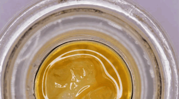 criticalconcentrates.com