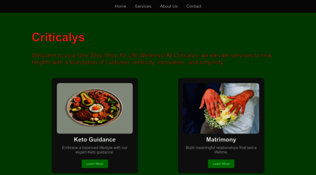 criticalys.com