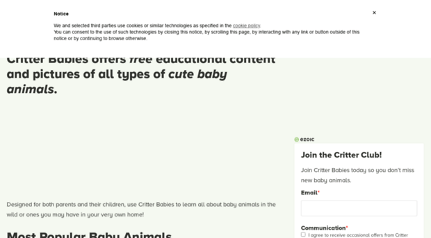 critterbabies.com