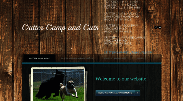 crittercampandcuts.com