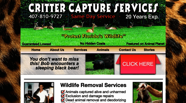 crittercaptureservices.com