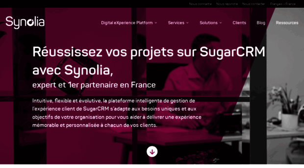 crm-france.com