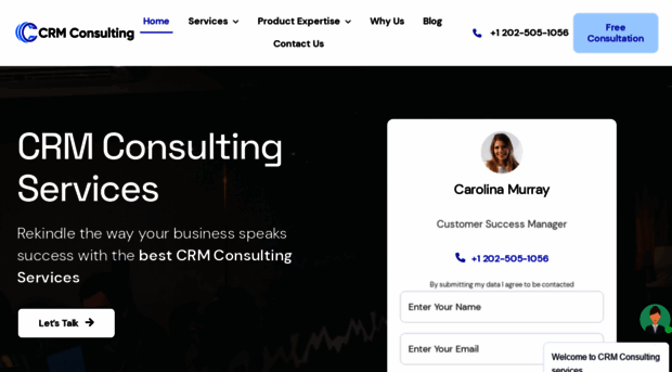 crmconsulting.services