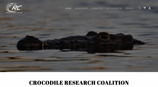 crocodileresearchcoalition.org