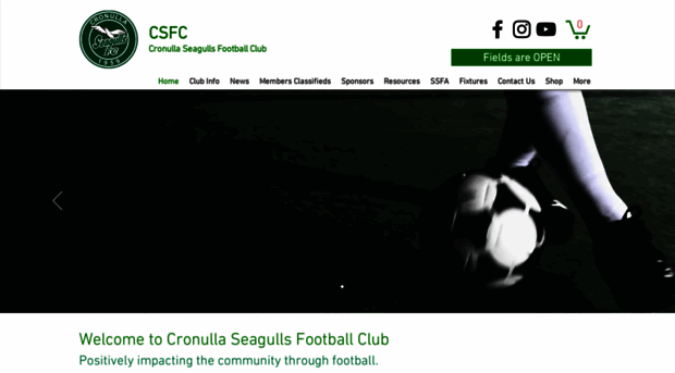 cronullaseagullsfc.com