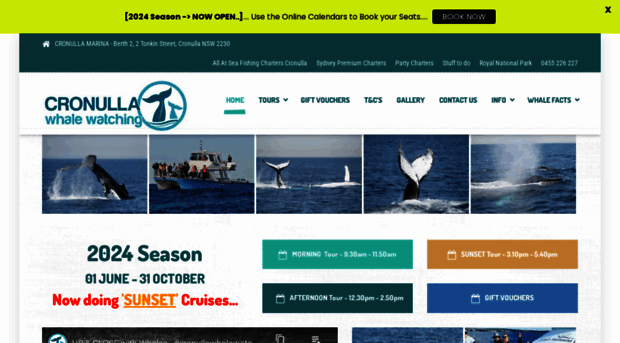 cronullawhalewatching.com.au