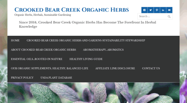 crookedbearcreekorganicherbs.com