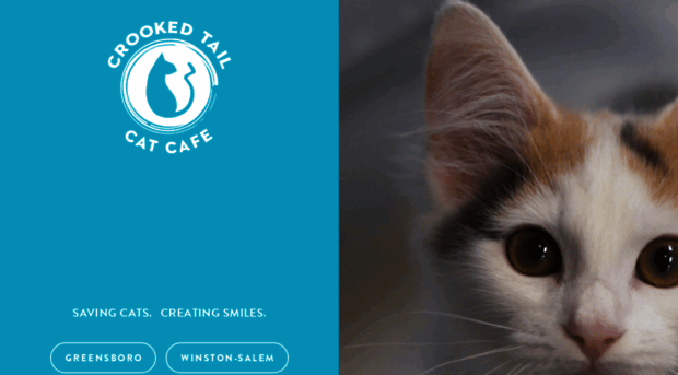 crookedtailcatcafe.com