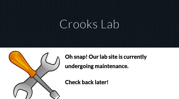 crookslab.com