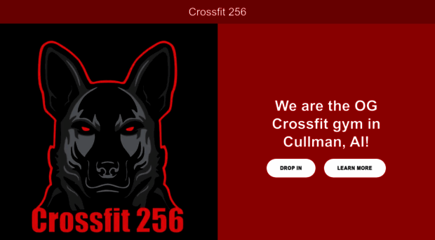 crossfit256.com