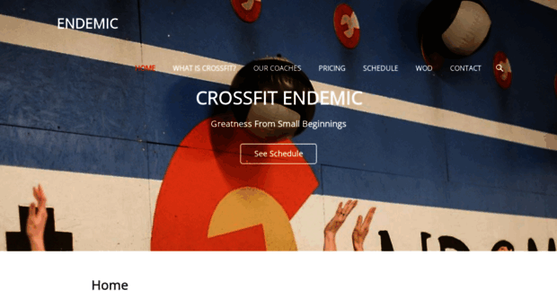 crossfitendemic.com