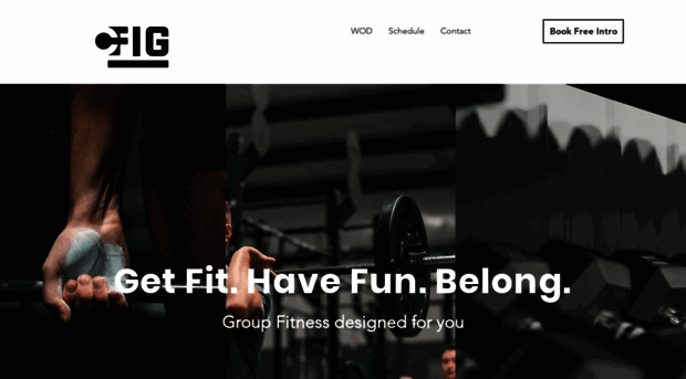 crossfitfig.com