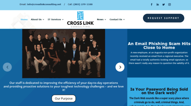 crosslinkconsulting.net