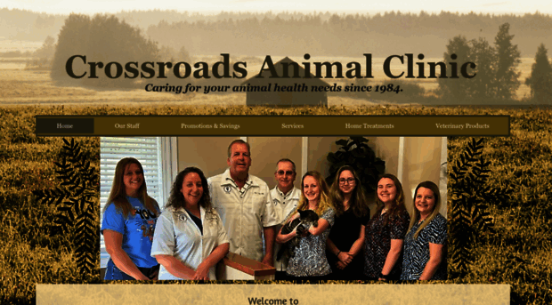 crossroads-animal-clinic.com