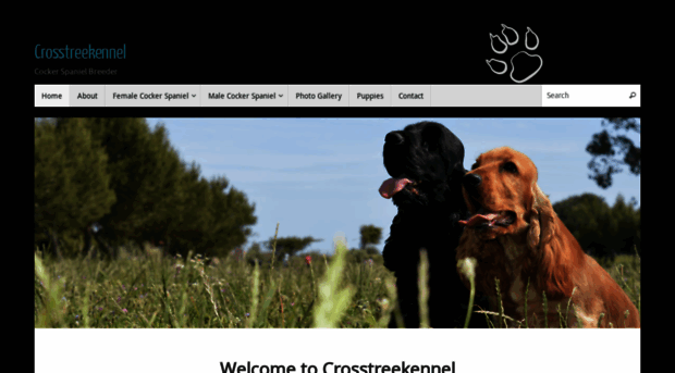 crosstreekennel.com