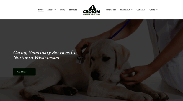 crotonanimalhospital.com