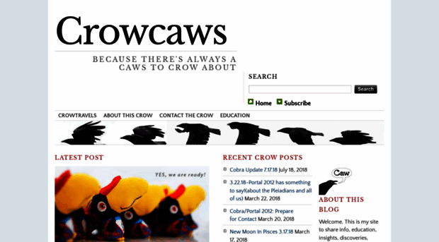 crowcaws.com